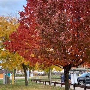 Meet your Posher, Red